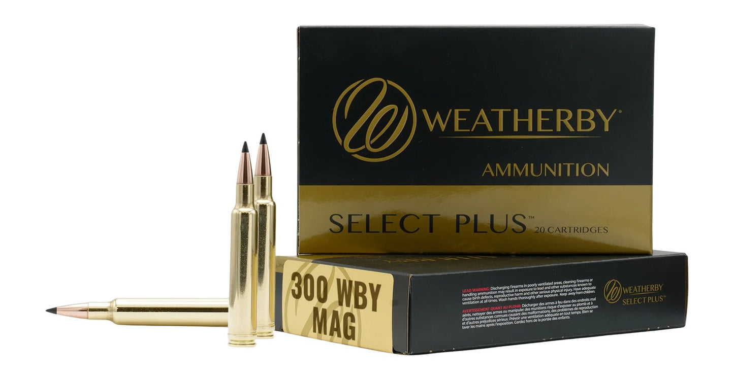 300WBY 195GR HAMMER CUSTOM