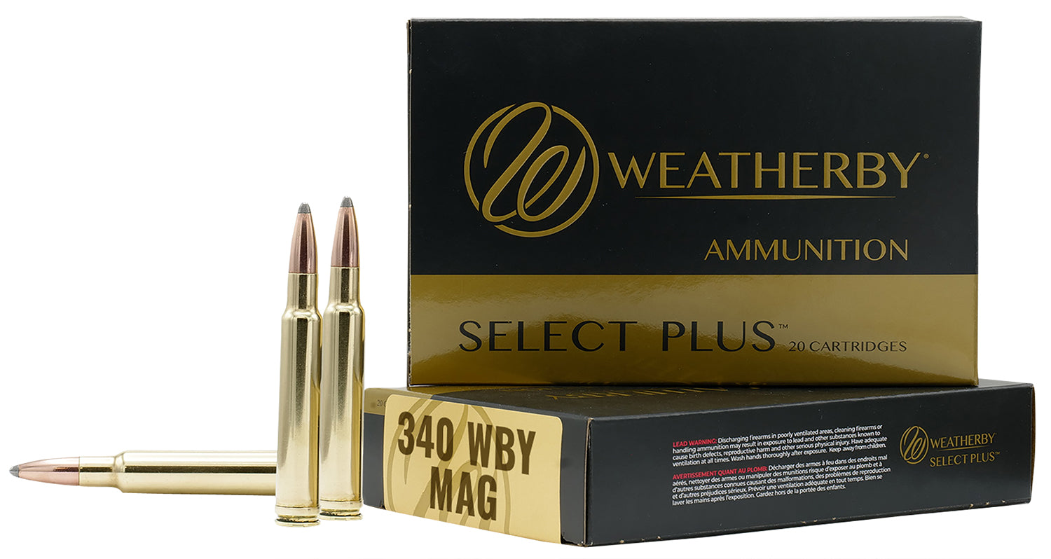 340WBY 225GR BARNES TTSX