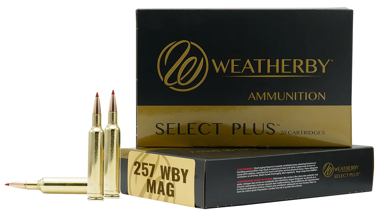 257WBY 100GR SCIROCCO