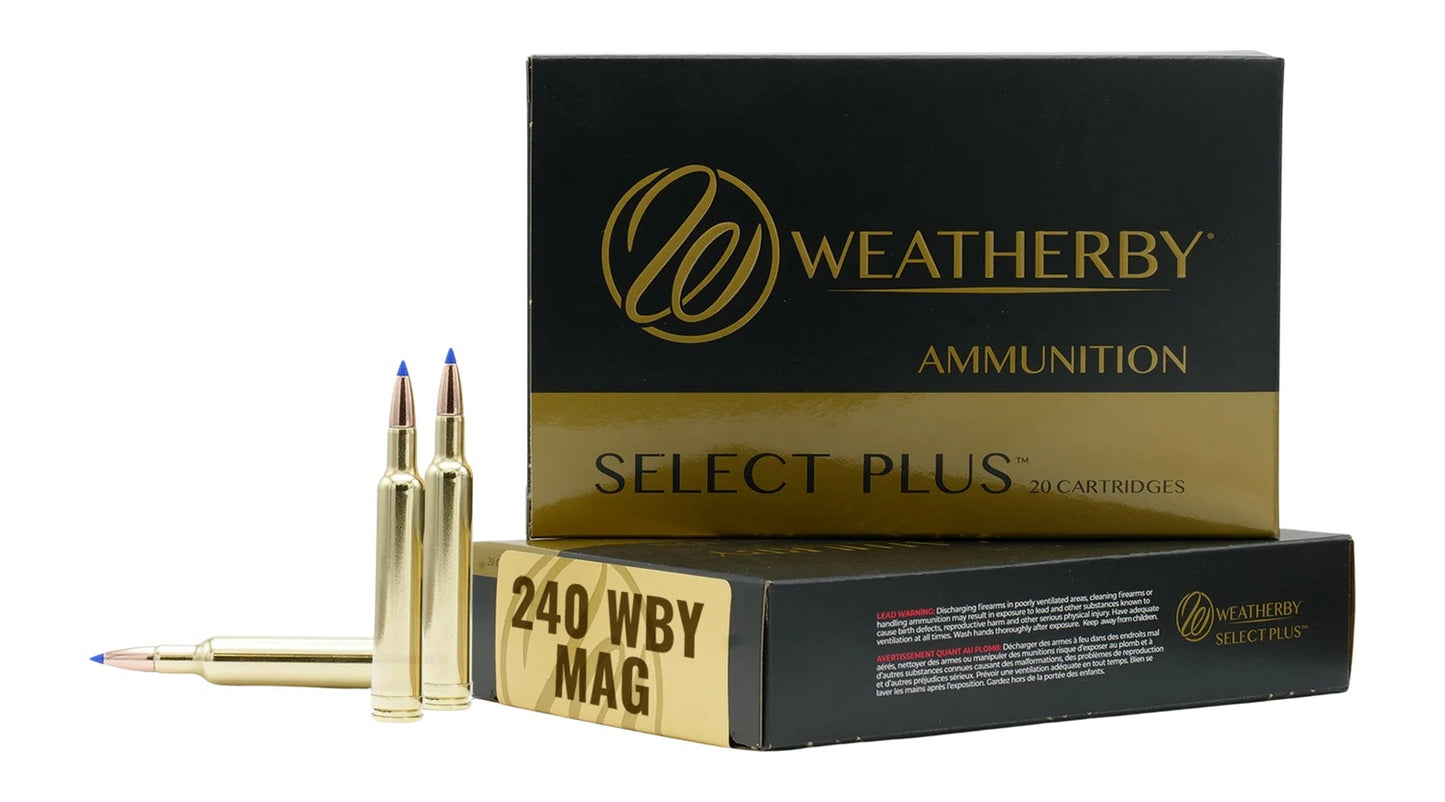 240WBY 72GR HAMMER CUSTOM
