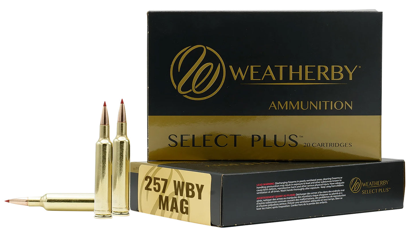 257WBY 92GR HAMMER CUSTOM