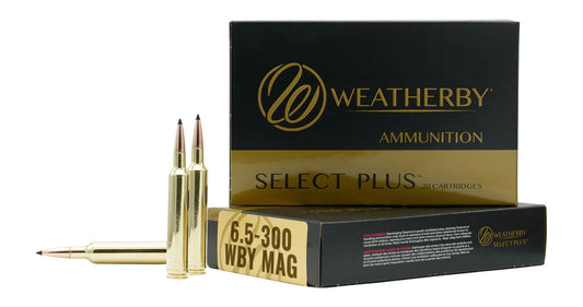 6.5-300WBY 156GR BERGER EH