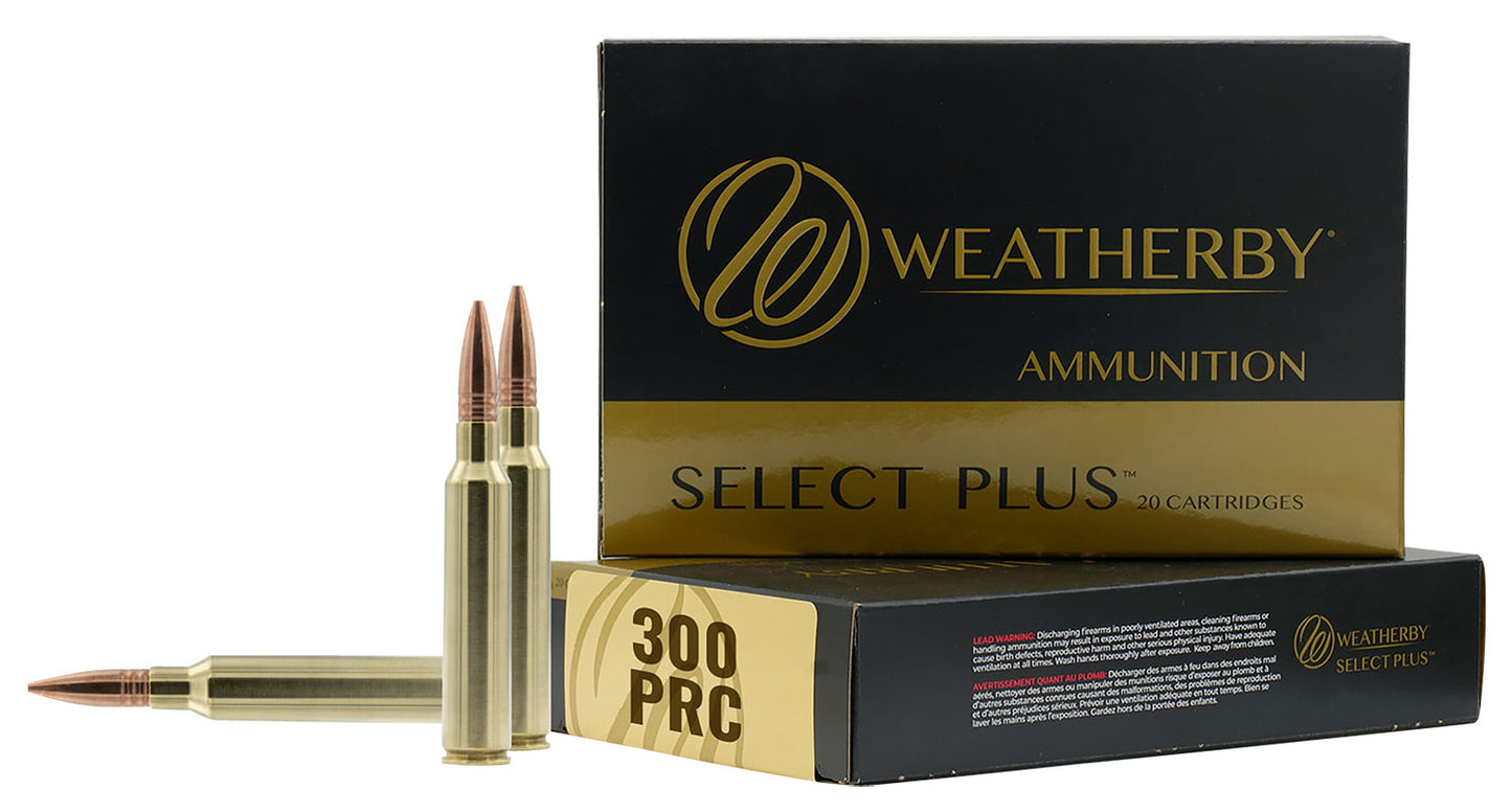 300PRC 195GR HAMMER CUSTOM
