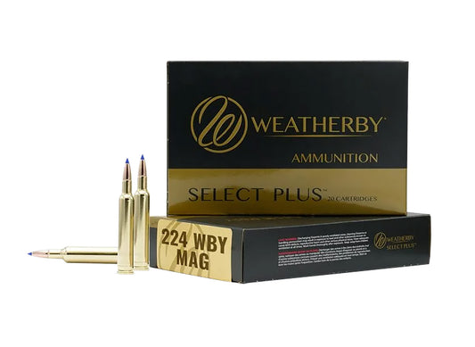 224WBY 37GR HAMMER CUSTOM