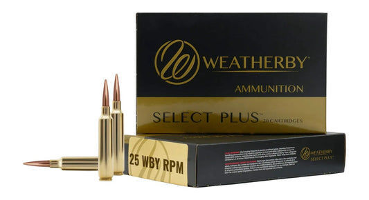 25WBY RPM 117GR BARNES LRX