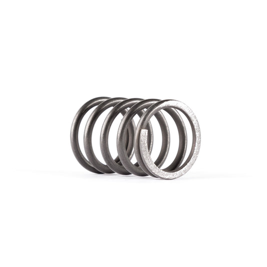 PISTON SPRING
